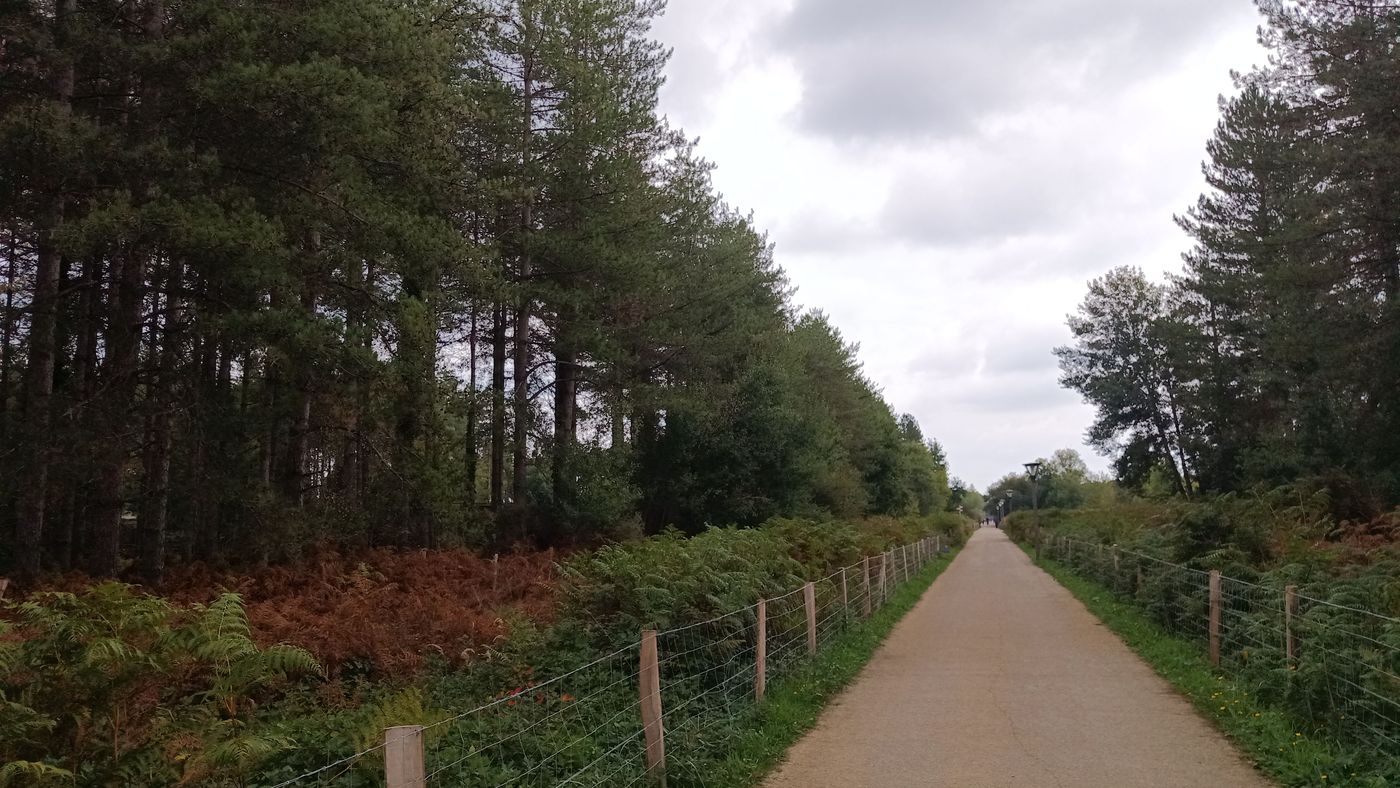 Les sentiers un peu trop linéaire !