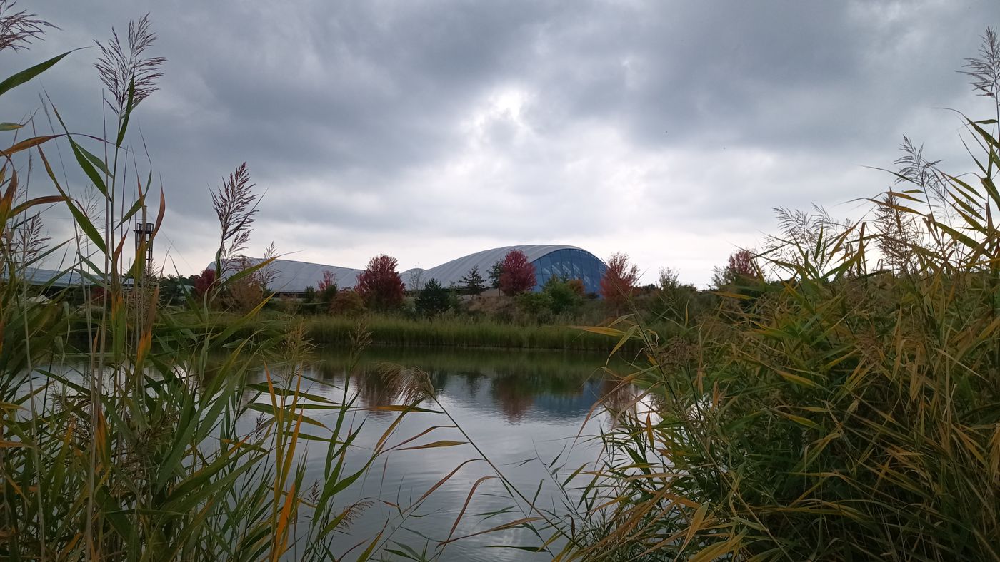 Le dôme à travers le marais et le plan d'eau