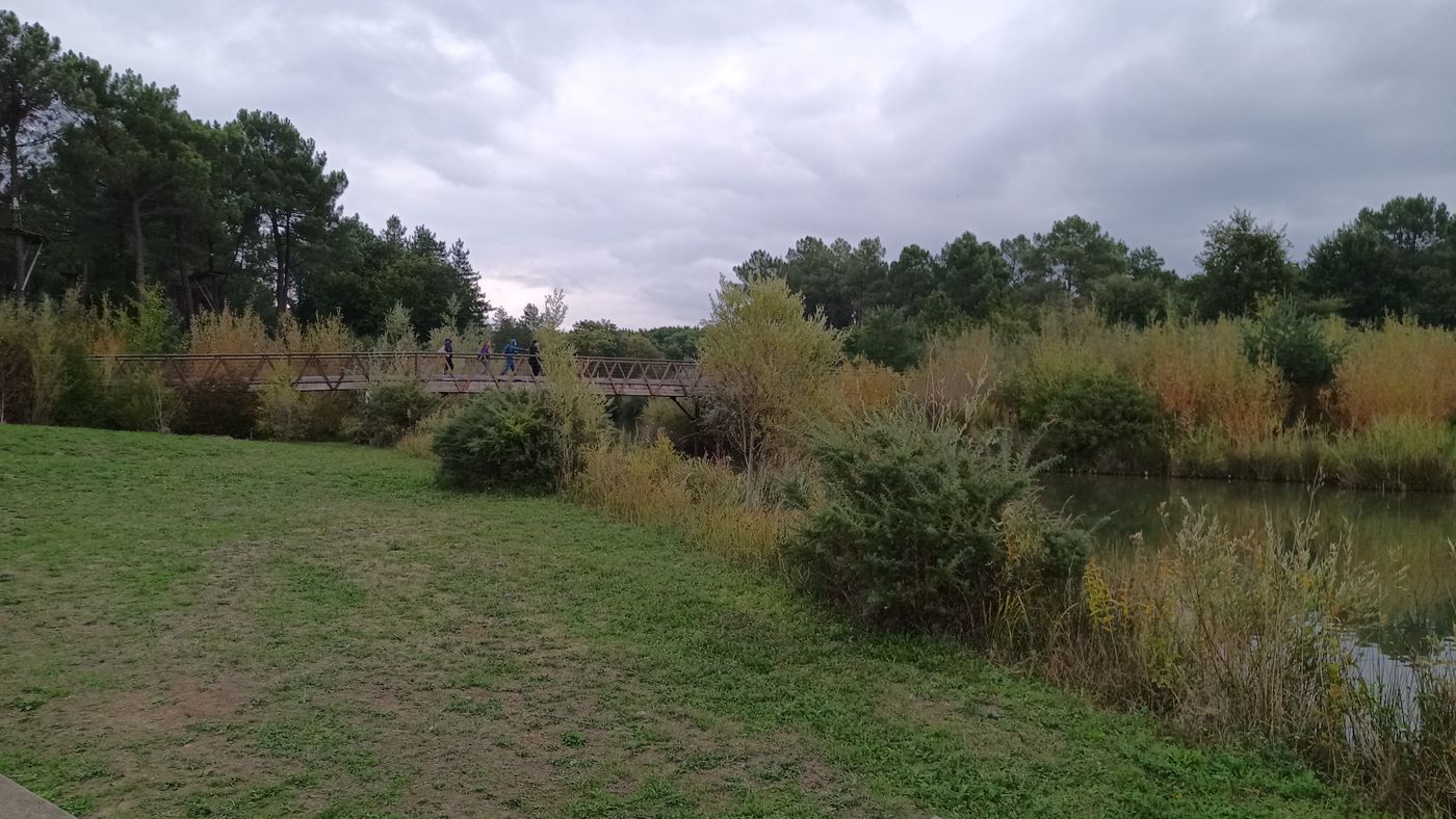 Sentier dans la réserve
