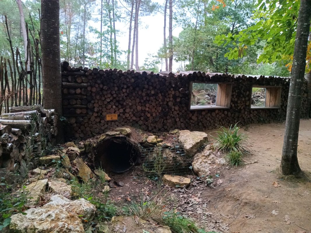 Tien, une entré de terrier pour enfants humain !
