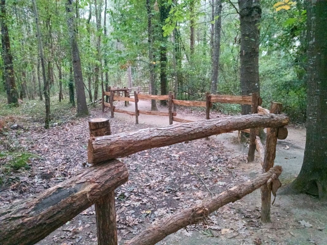 Sympas la promenade dans le bois aménagé