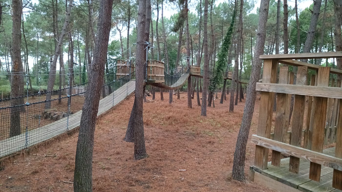 Le parcours suspendu d'observation des cerfs et sanglier