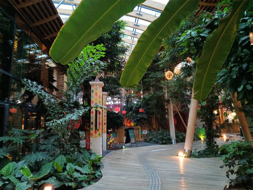 Ambiance nocturne dans le dôme