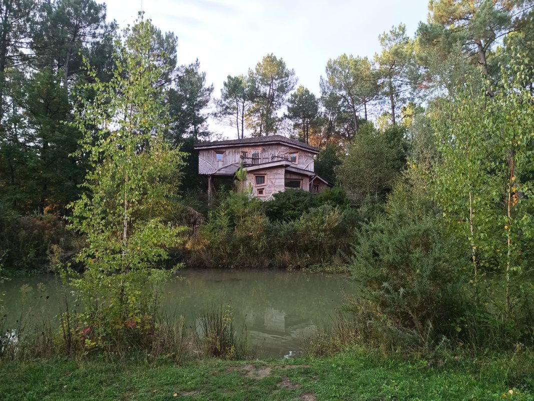 Vue sur le canal et la forêt