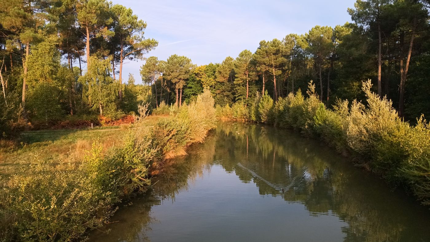 Les couleurs d'automne commencent