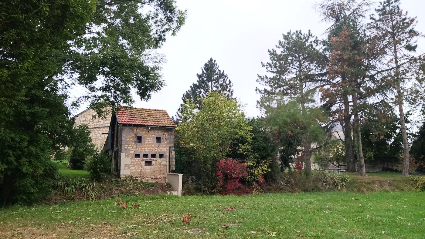 Dans le parc de la ville