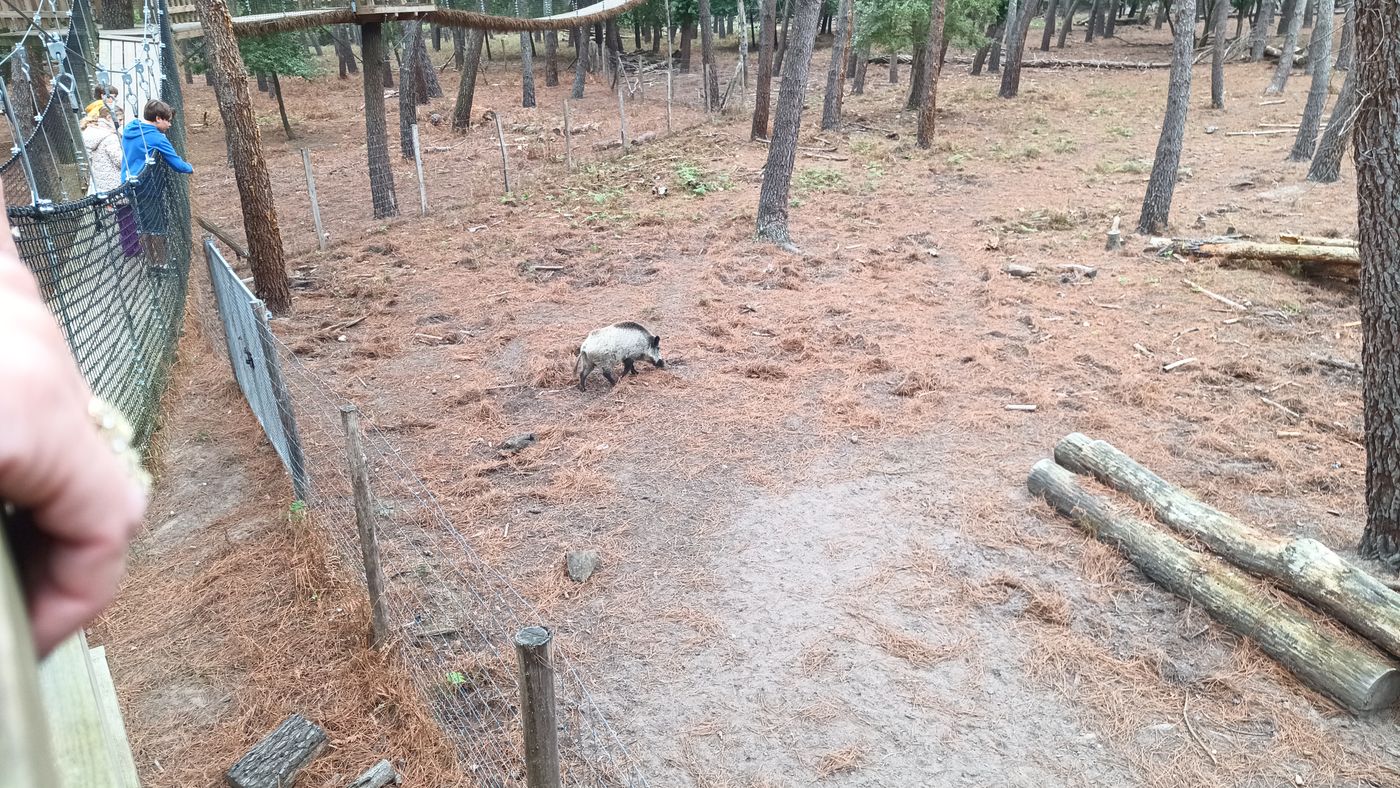 Il ne faut pas tomber