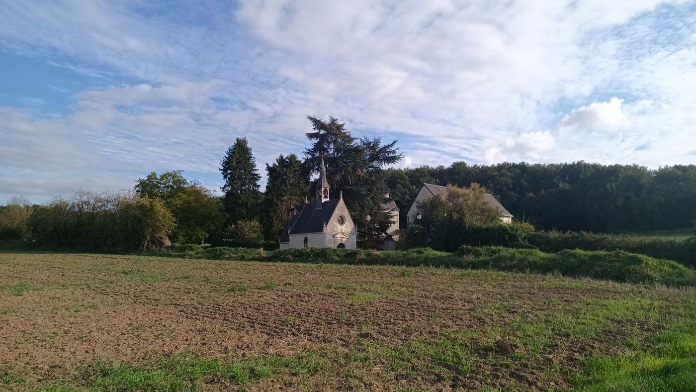Un peu plus loin dans les champs, la chapelle Notre-Dame-de-Pitié de Fontevraud-l'Abbaye