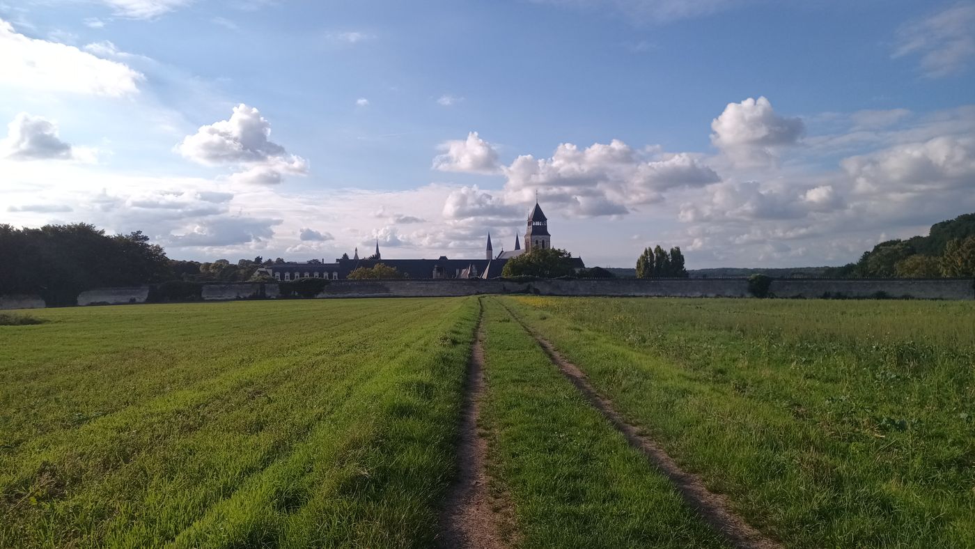L'arrière de l'Abbaye de Fontevraud