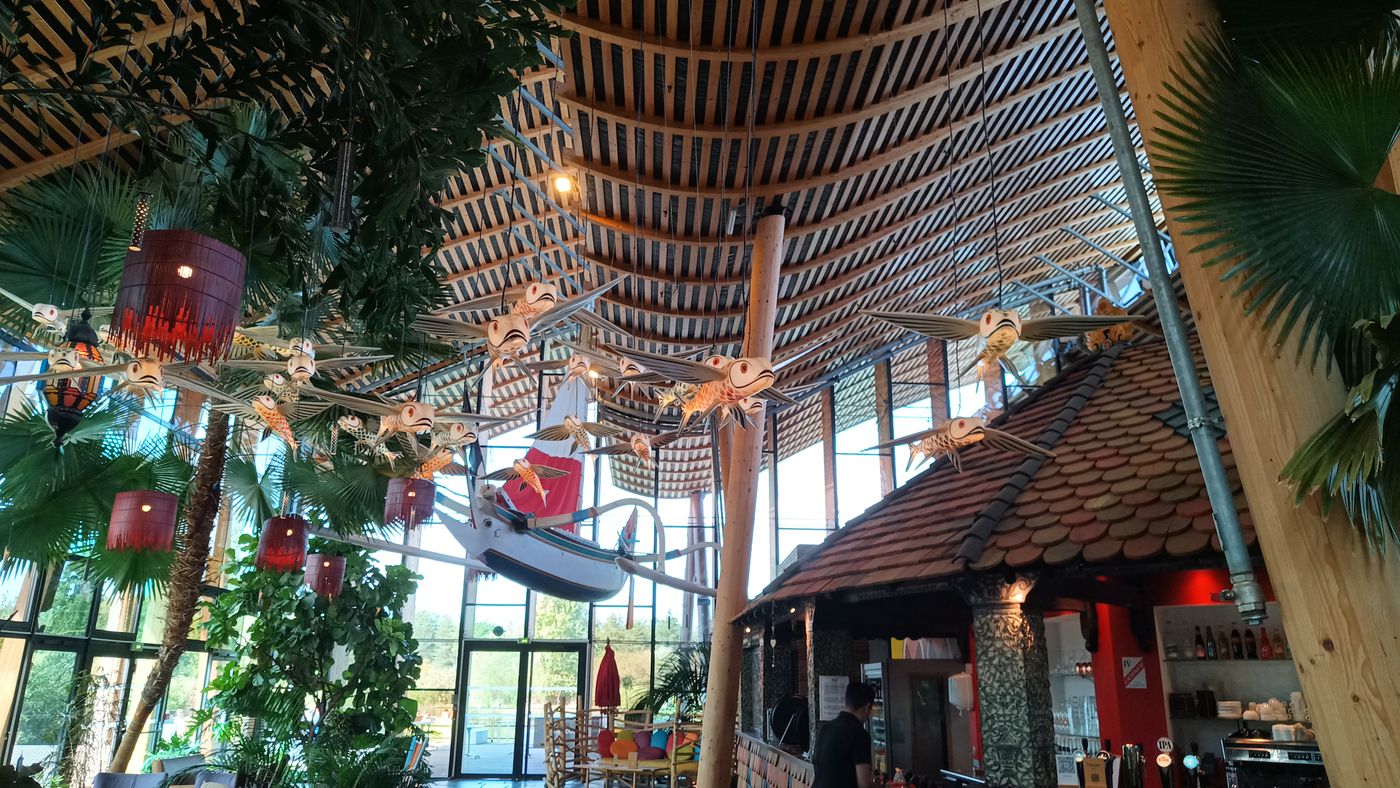 Jolie lampion-poisson dans le Dôme