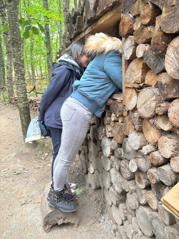 Les postes d'observations des animaux