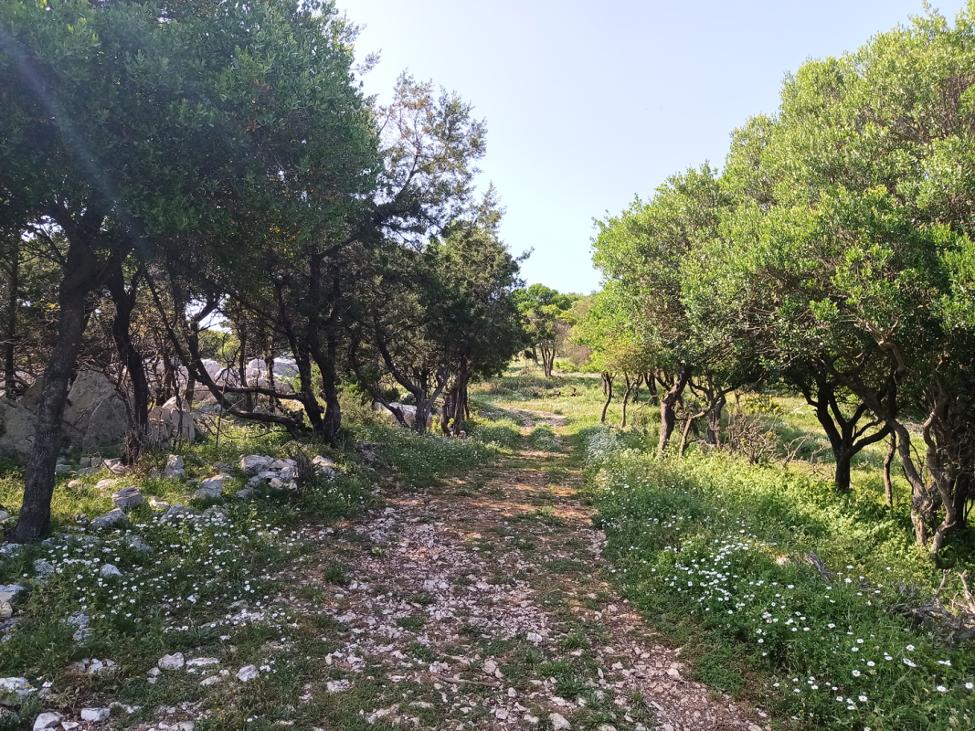 En chemin carrossable en voiture !