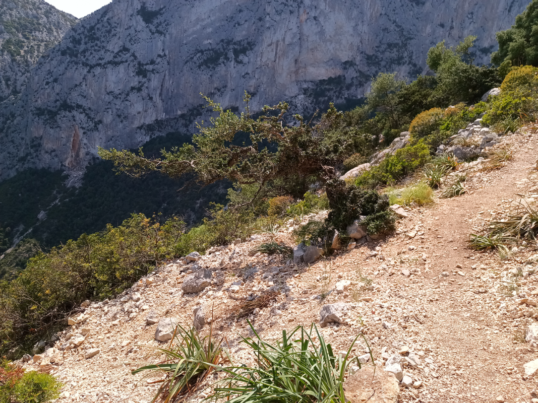 Impossible de traverser cet éboulis pour voir la grotte.