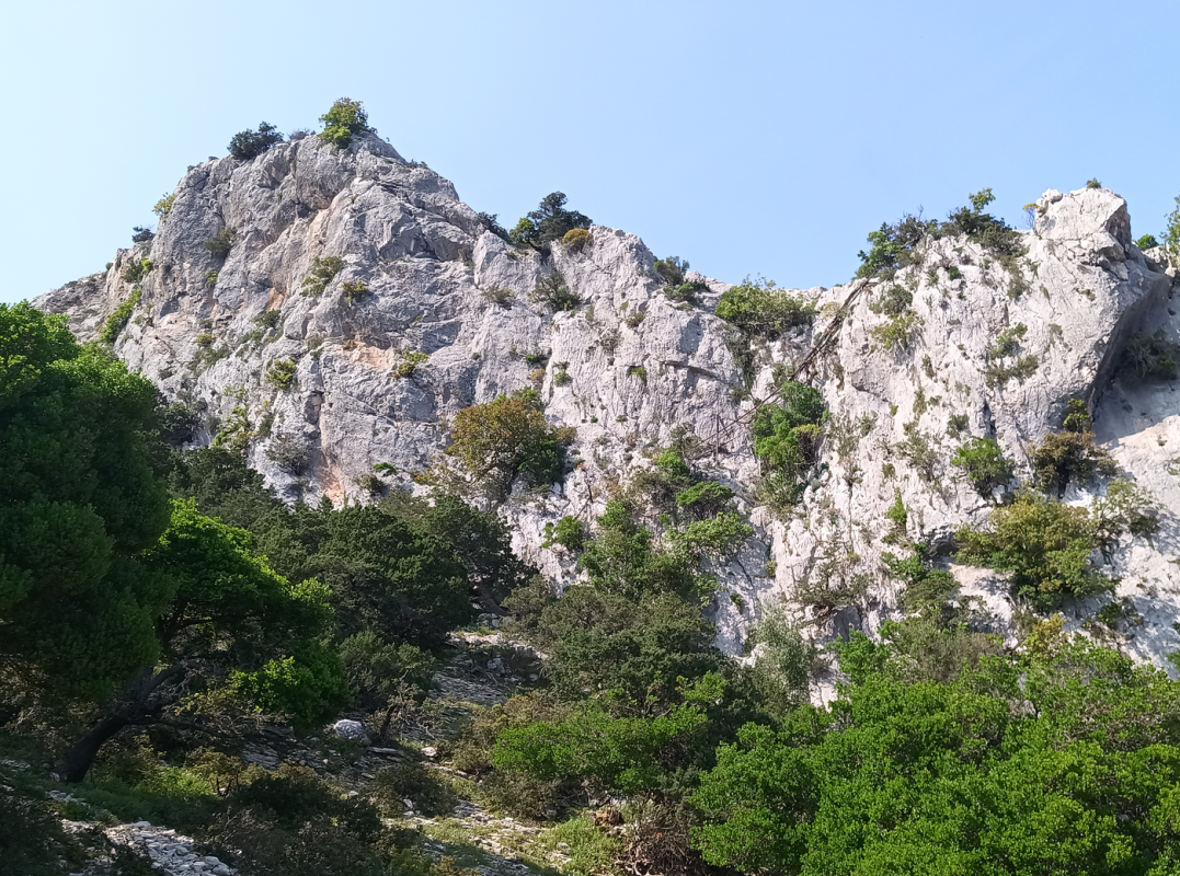 Passerelle rustique le long de la falaise, je ne vois pas comment approcher