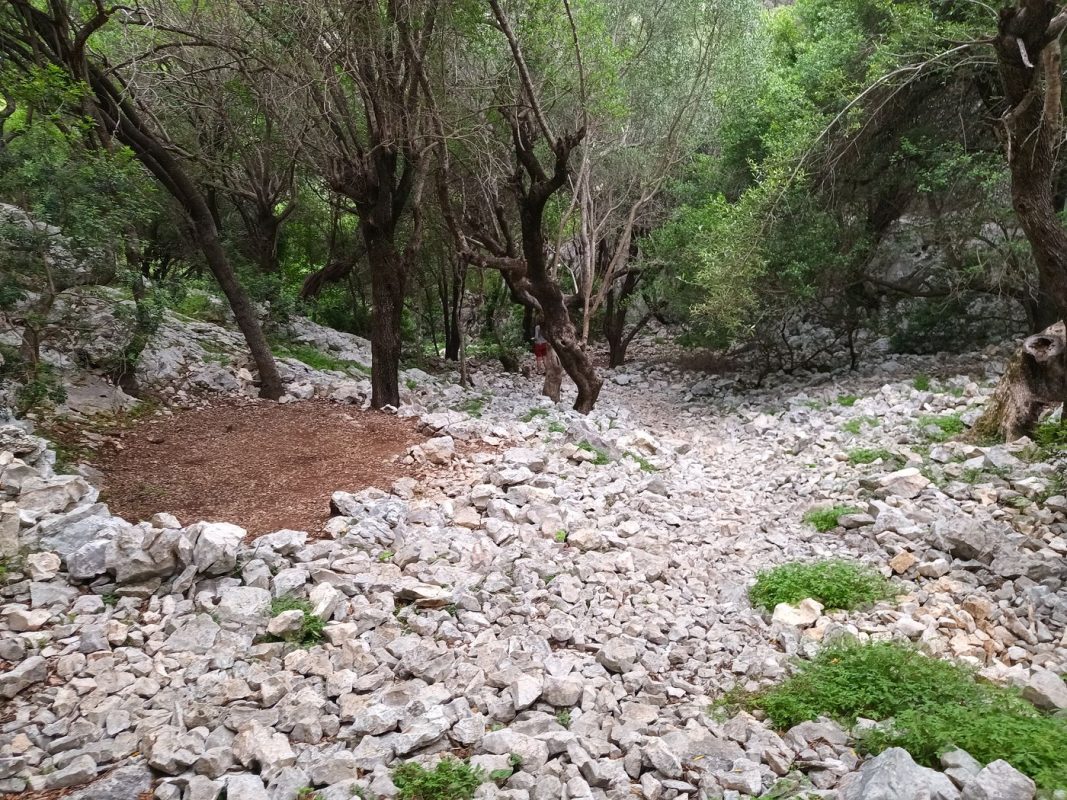 Les emplacement de tentes des groupes