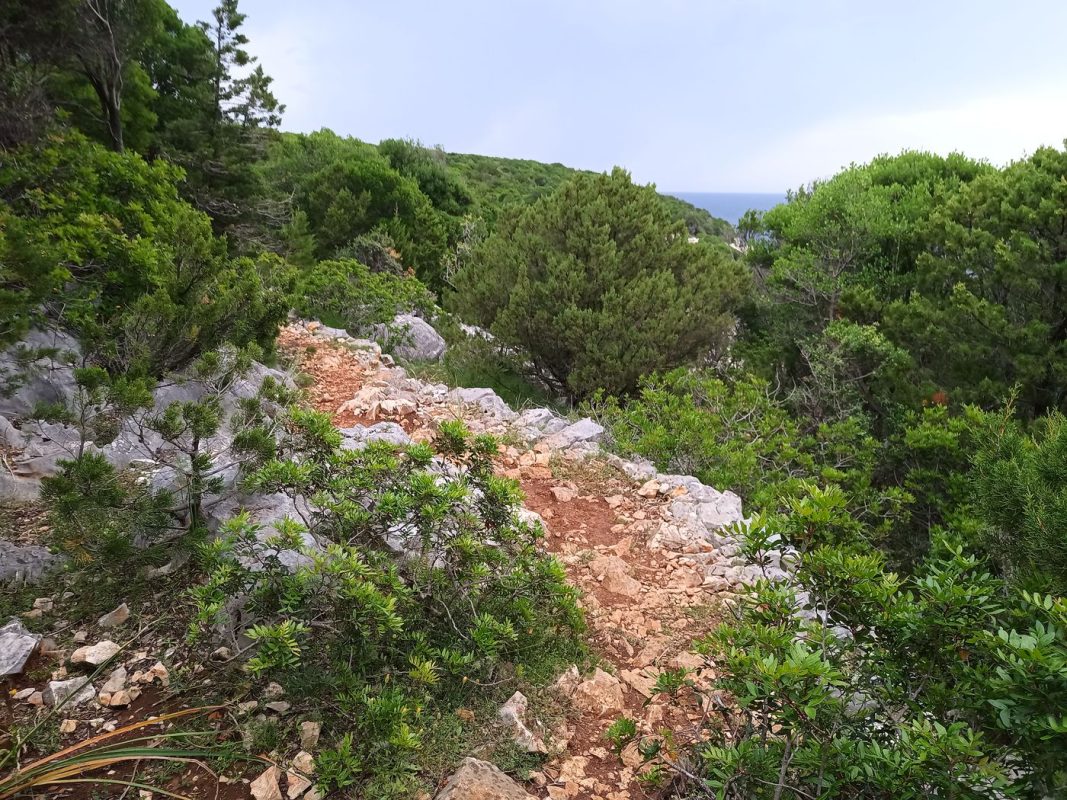 Le sentier est hyper bien marqué ici !