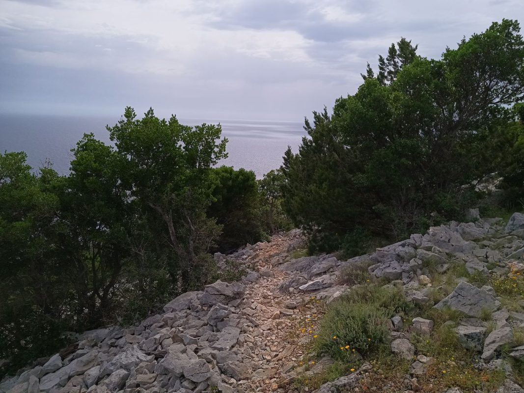 Rayon de soleil ou sentier jaunie par la terre ?