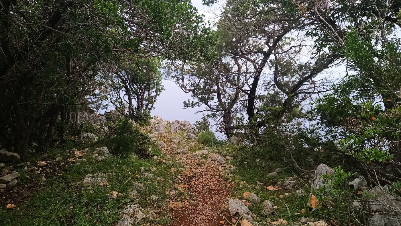 Enfin une petite aire de pique-nique !