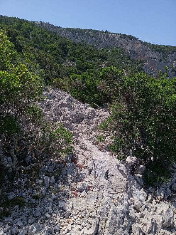 J'ai les clé de lecture : le petit cailloux accroché à un bâton en bas à droite