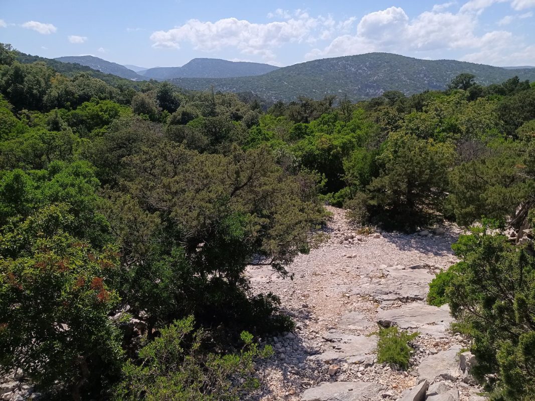 Ca y est, je passe une sorte de mur/fossé semi naturel