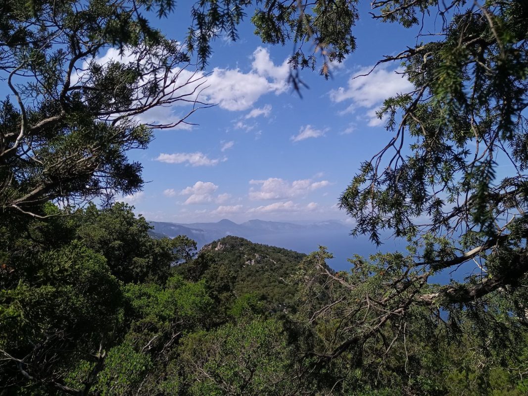 Encore une belle vue !