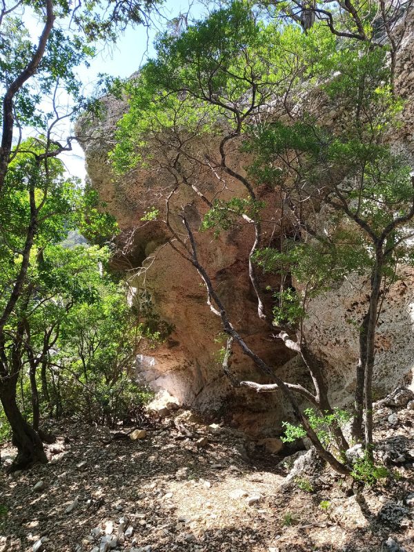 C'est carrément des pan de falaises entier !