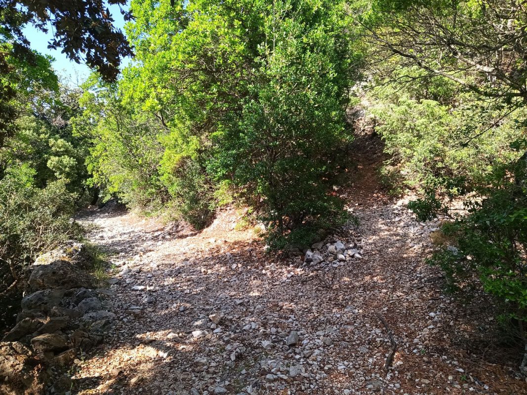 Je retrouve un sentier plus large (et plus fréquenté)