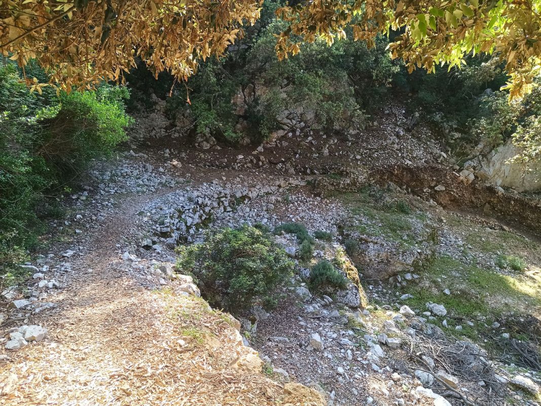 Le sentier descend sacrément !