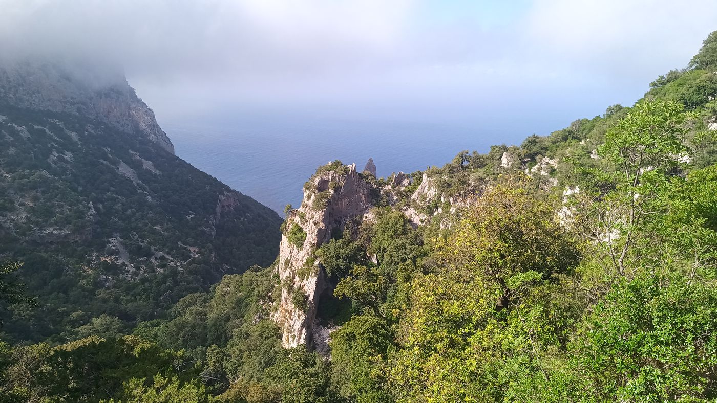 Toujours ces nappes de nuages, au dessus de moi cette fois