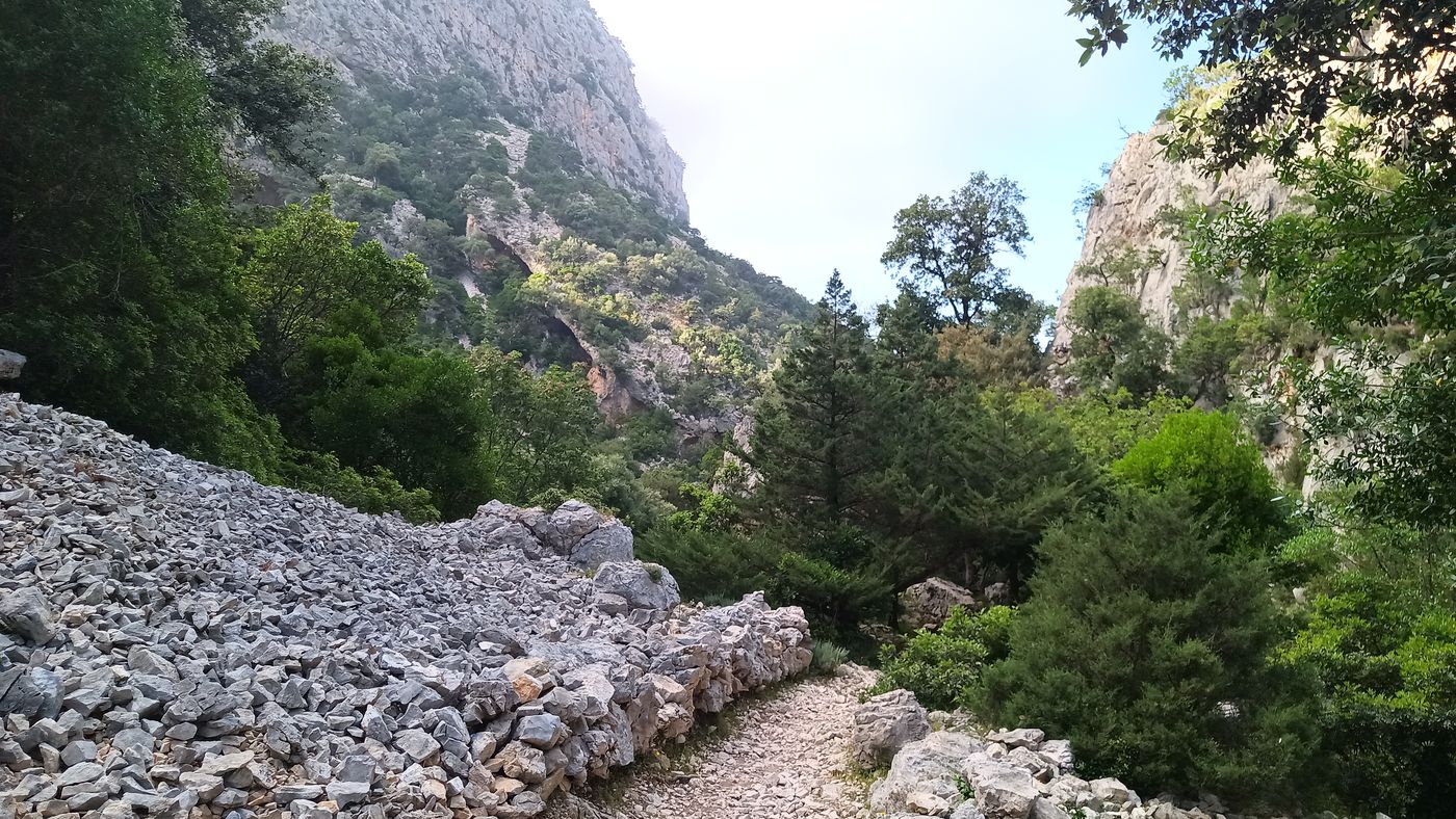 Incroyable ce sentier après ce que j'ai connu les jours précédents