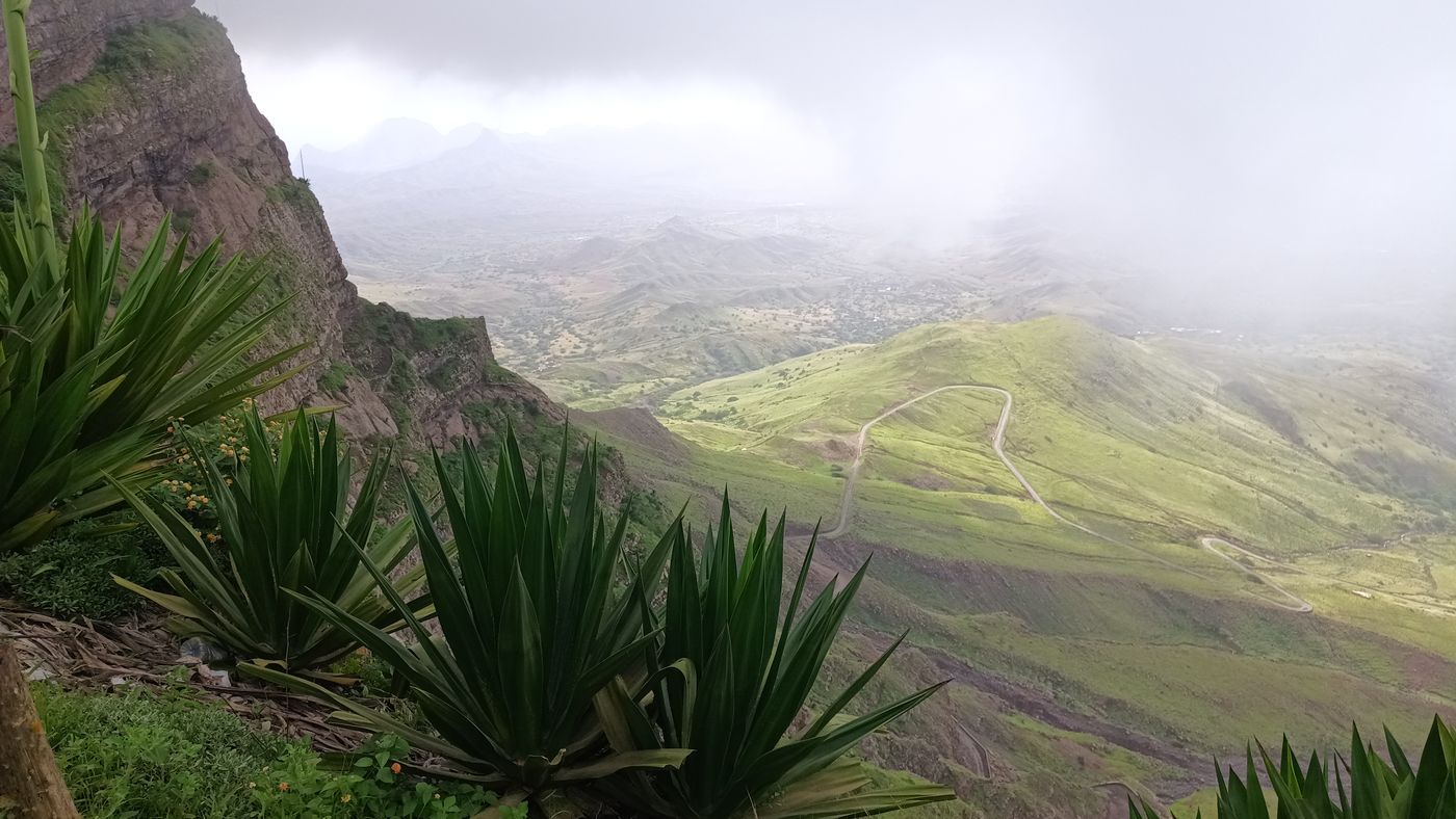 Quand on arrive dans les nuages 'éternel', la végétation revient !