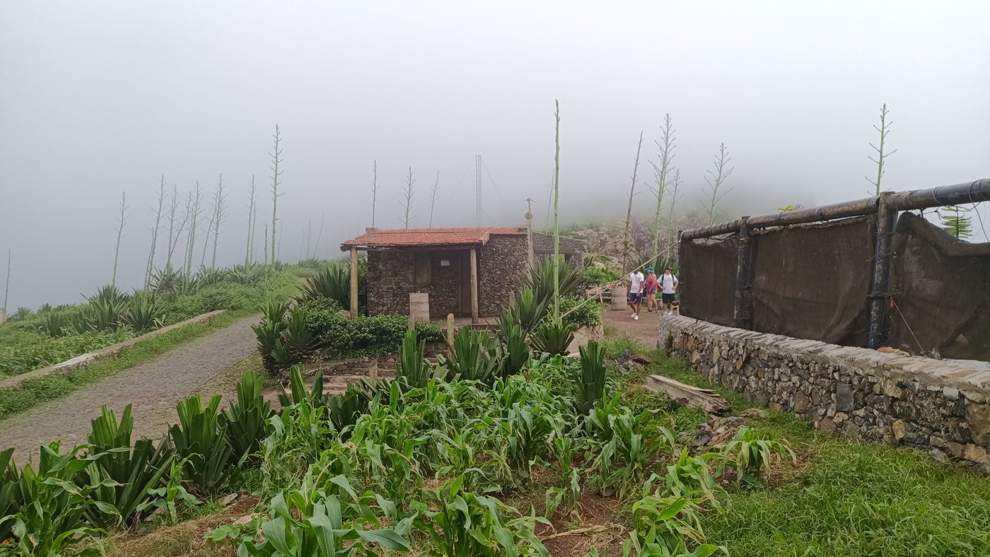La petite cabane en haut, et du maïs
