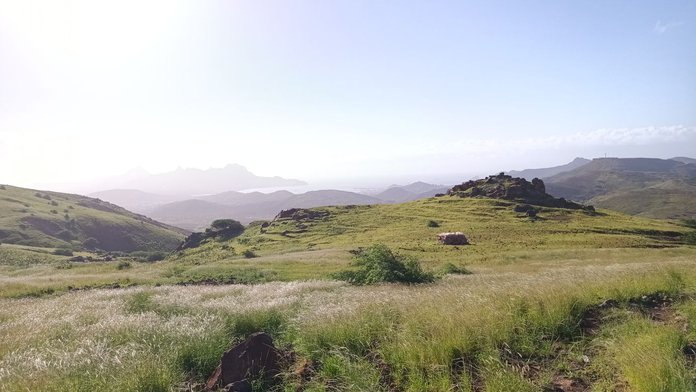 Un champs battu par le vent, surréaliste ici !