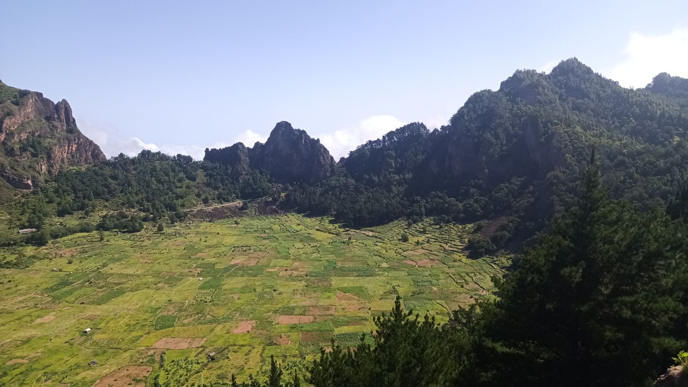 Le cratère cultivé