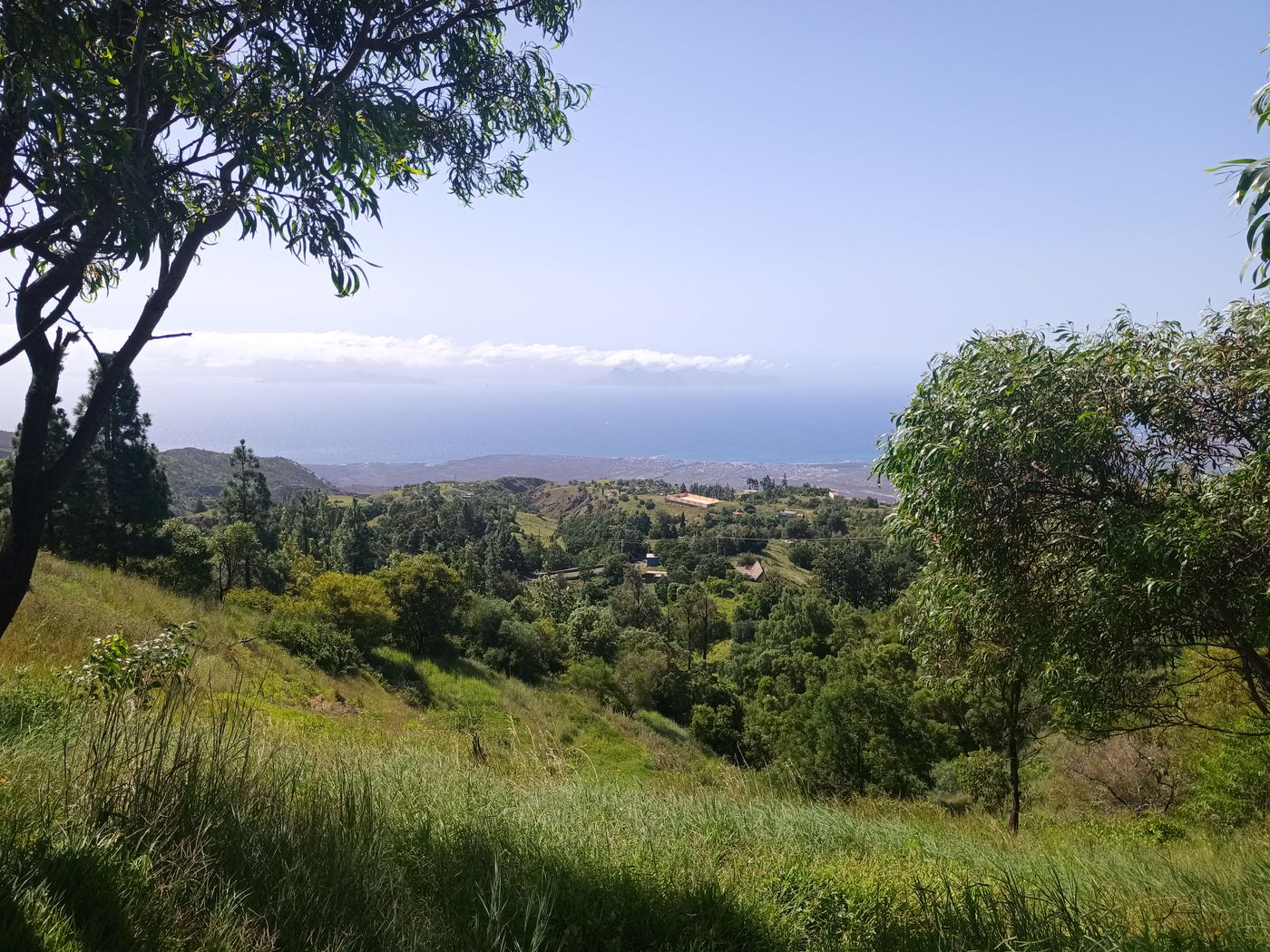 La magnifique vue à travers la végétation