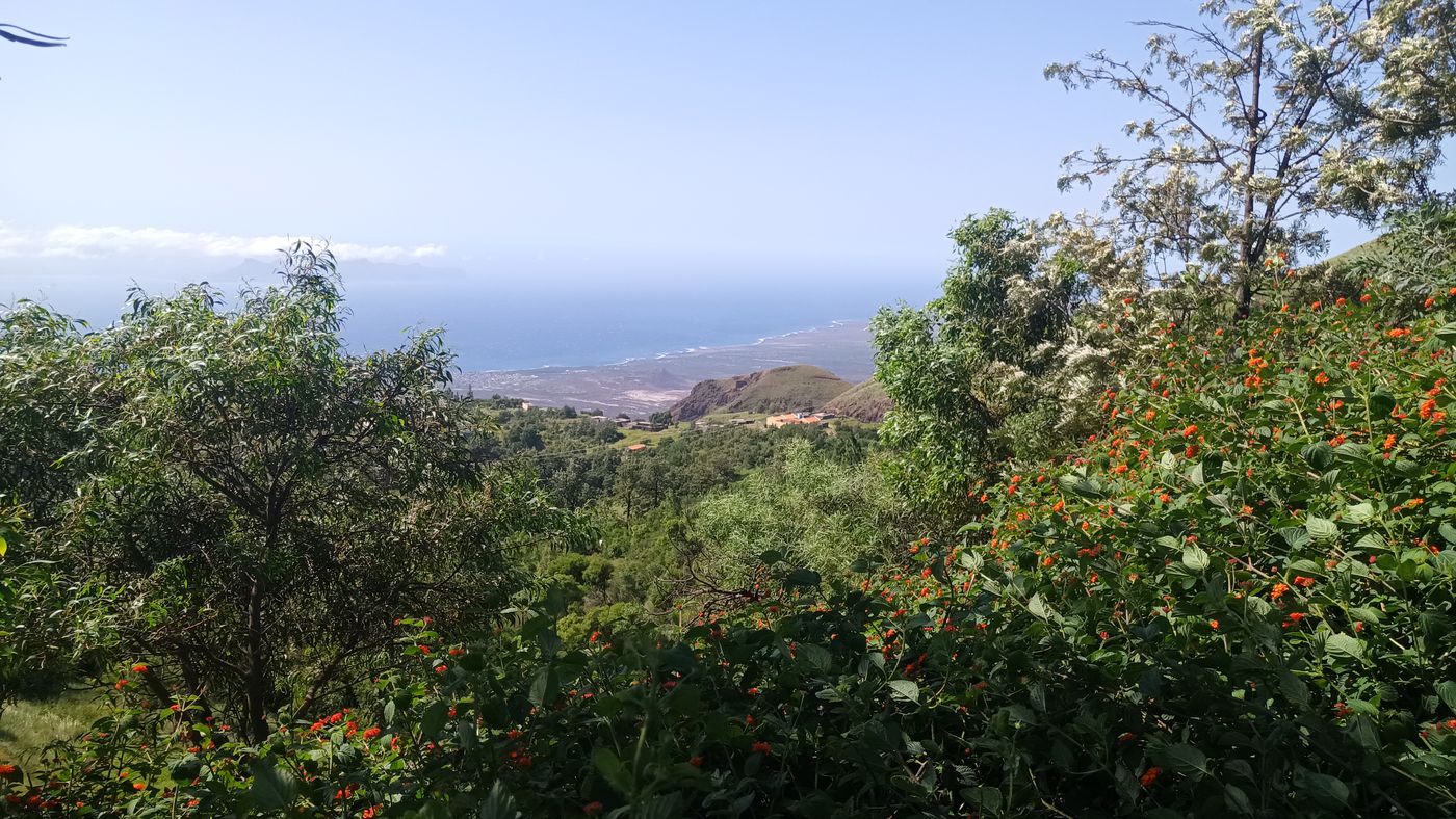 Que de verdure en comparaison à Saint Vincent en face !