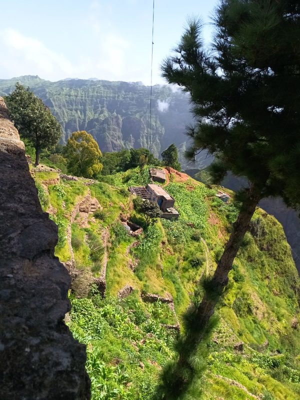 Au bord de la route qui redescend coté nord, culture