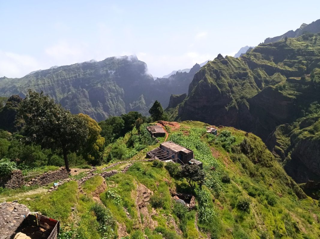 Surprenant ce mix de culture, de crête et de formes arrondis