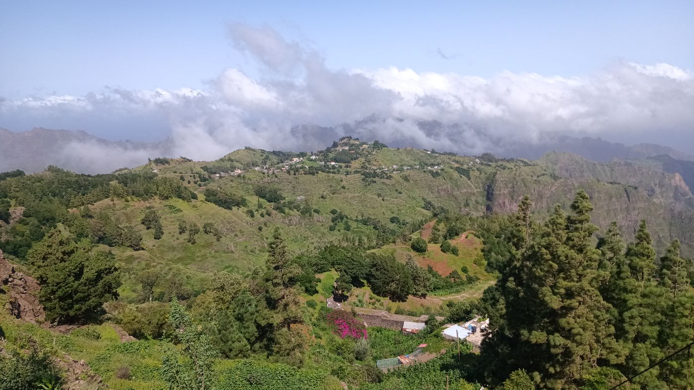 Maisons disséminées, bougainvillier rose