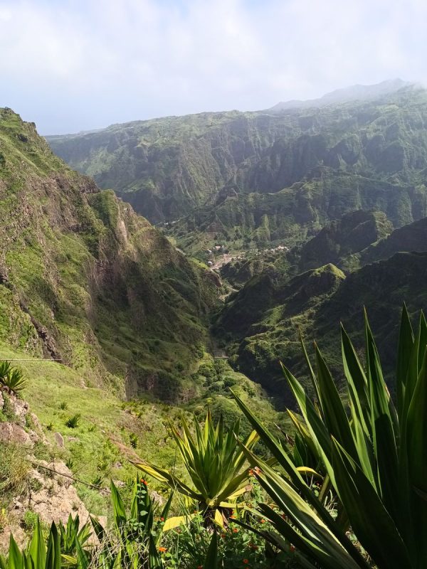 Qui se prolonge en vallée cultivé jusqu'à la mer