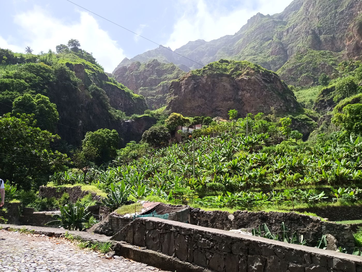 Ruisseau canalisé et plantation de bananes