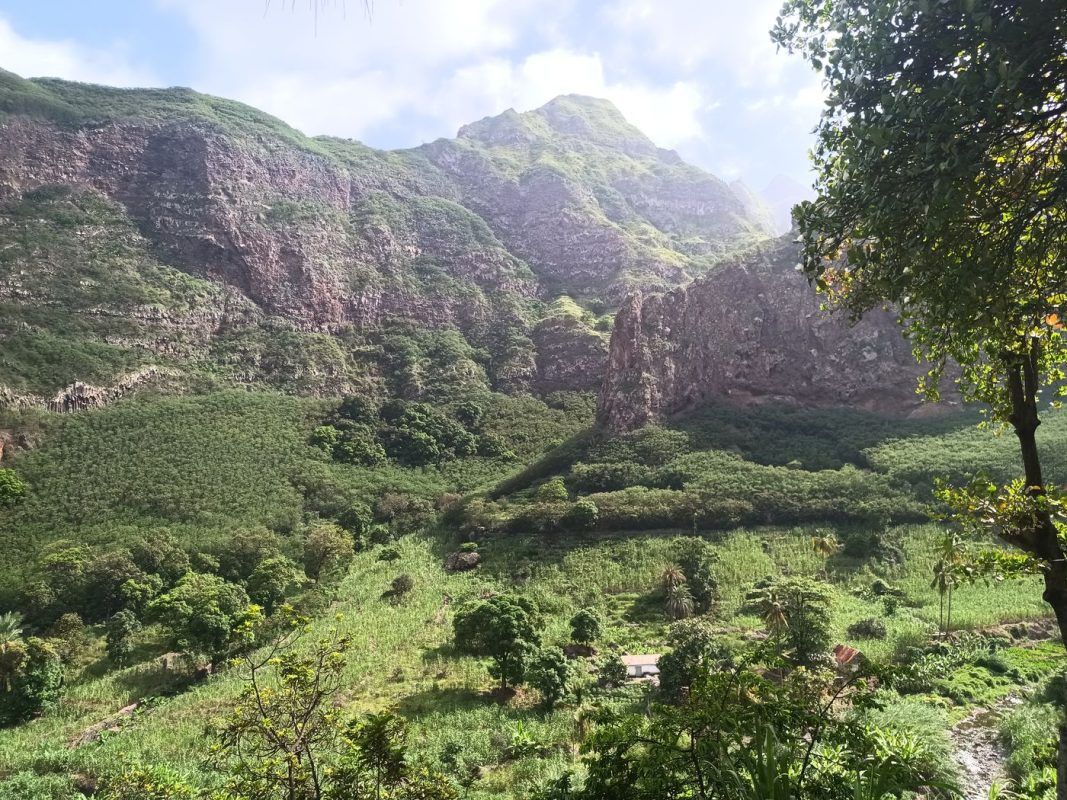 La vallée 'Paul' sous la distillerie de rhum
