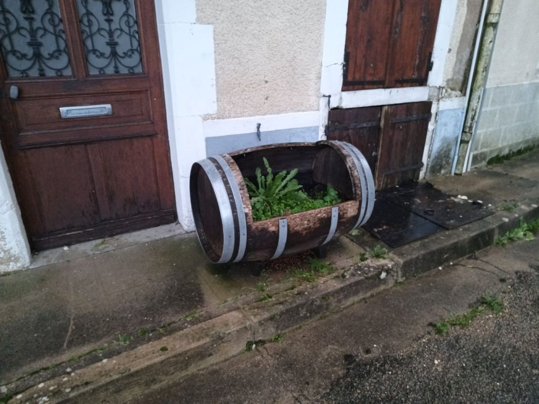 J'aime bien l'idée !