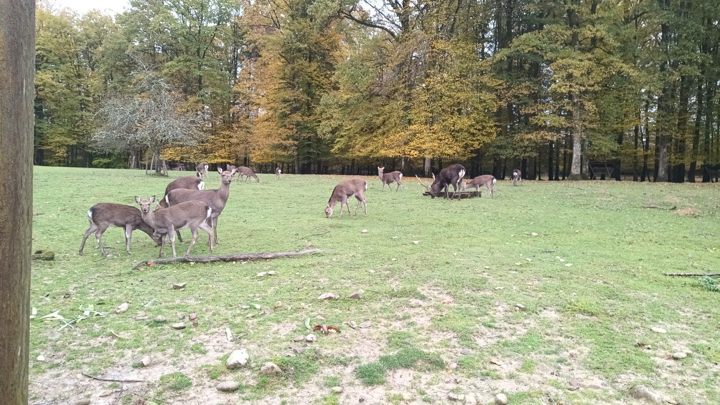 Parc de vision du Banney