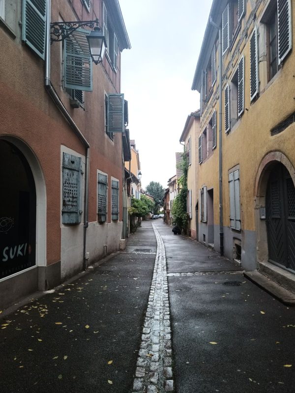 Une petite rue, avec des plantes grimpantes sur les bords