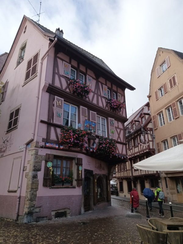 Jolie harmonie de rose