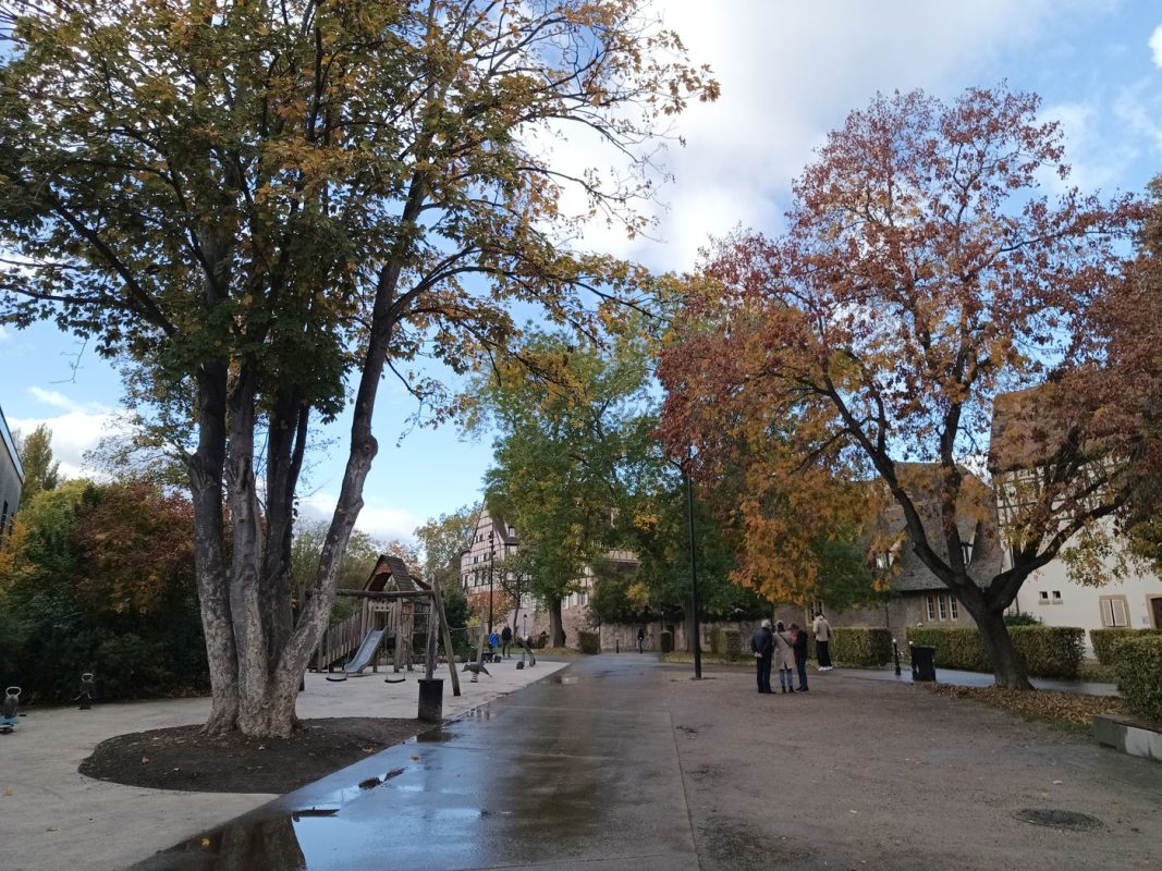 Parc de la Montagne Verte