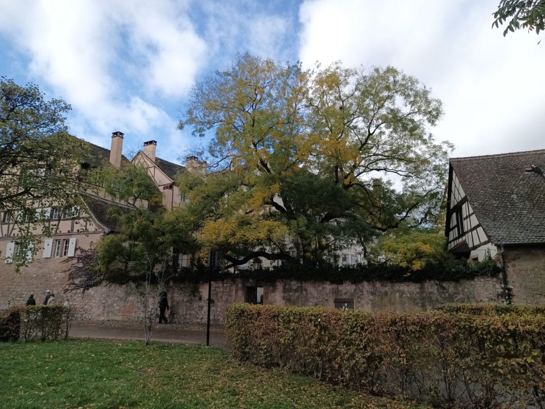 Parc de la Montagne Verte