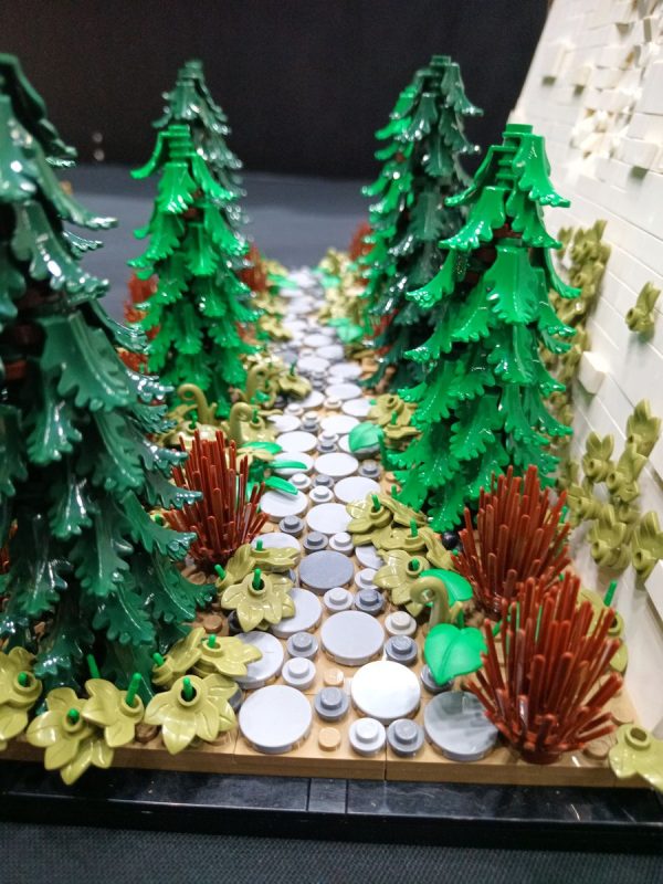 Incroyable ce chemin dans la forêt de sapins