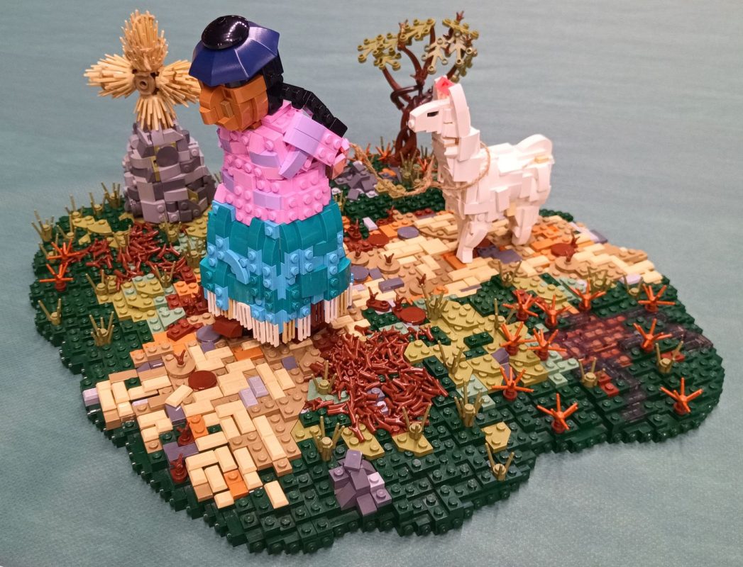 Femme péruvienne, que de détails !